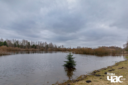 3/3 _belarus_vjasna_pavodka_njoman_dzjaljaciczy_2024_fota_novy_czas__3__logo.jpg