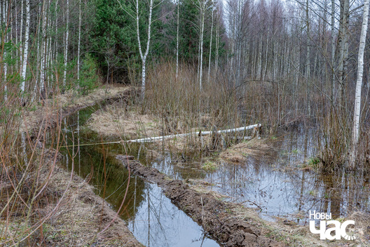 3/7 _belarus_vjasna_pavodka_njoman_final_2024_fota_novy_czas__3__logo.jpg