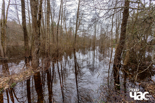 4/9 _belarus_vjasna_pavodka_njoman_paczatak_2024_fota_novy_czas__4__logo.jpg