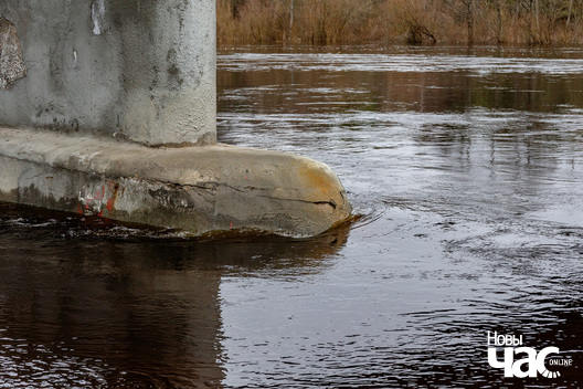 5/9 _belarus_vjasna_pavodka_njoman_paczatak_2024_fota_novy_czas__5__logo.jpg