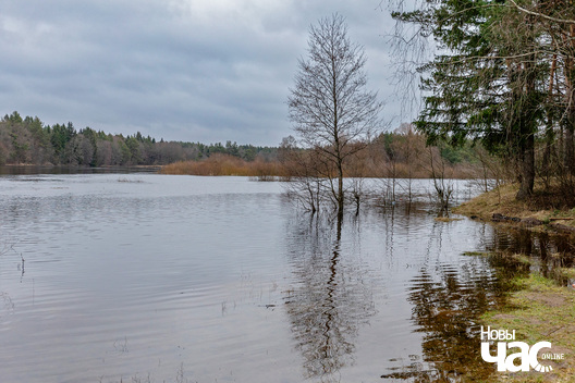 6/9 _belarus_vjasna_pavodka_njoman_paczatak_2024_fota_novy_czas__6__logo.jpg