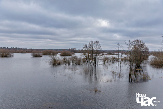 8/9 _belarus_vjasna_pavodka_njoman_paczatak_2024_fota_novy_czas__8__logo.jpg