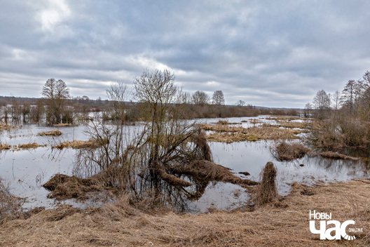 9/9 _belarus_vjasna_pavodka_njoman_paczatak_2024_fota_novy_czas__9__logo.jpg