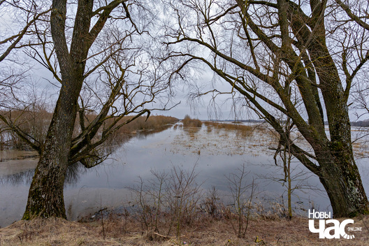 7/9 _belarus_vjasna_pavodka_njoman_szczorsy_2024_fota_novy_czas__7__logo.jpg