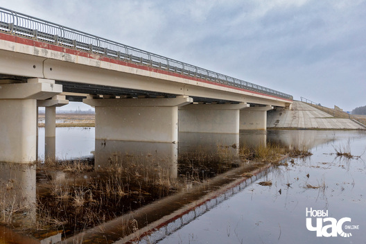 3/4 _belarus_vjasna_pavodka_zahodnjaja_berazina_2024_fota_novy_czas__3__logo.jpg