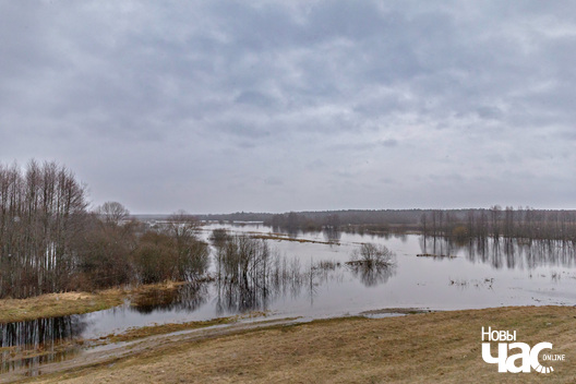 4/4 _belarus_vjasna_pavodka_zahodnjaja_berazina_2024_fota_novy_czas__4__logo.jpg