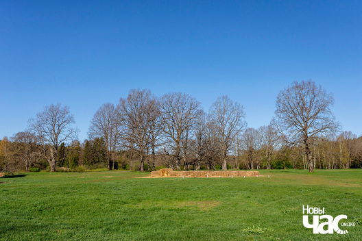 1/8 _belarus_vjasna_pryroda_abudzenne_2023_fota_novy_czas__1__logo.jpg