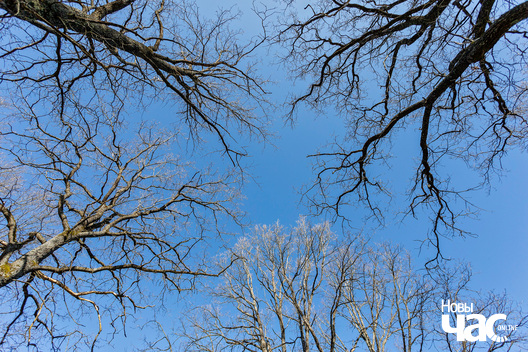 3/8 _belarus_vjasna_pryroda_abudzenne_2023_fota_novy_czas__3__logo.jpg