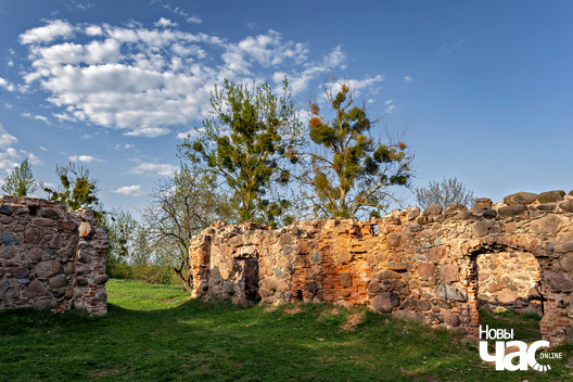 1/6 _belarus_vjasna_pryroda_kraina_czastka_6_2025_fota_novy_czas.jpg