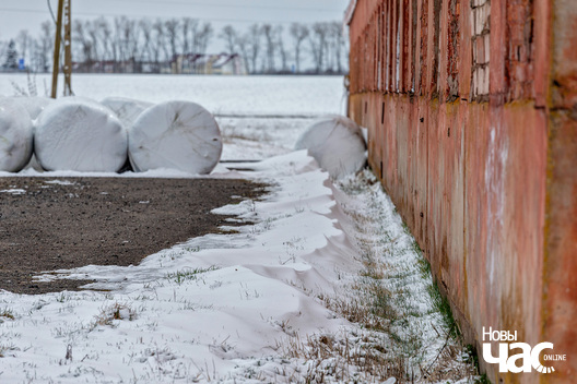 1/5 _belarus_vjasna_sneh_2025_fota_novy_czas.jpg