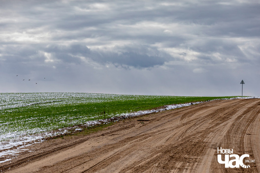 1/4 _belarus_vjasna_sneh_pracjah_3_2025_fota_novy_czas__1_.jpg