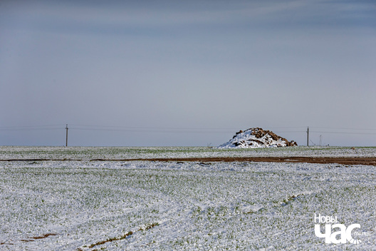 6/7 _belarus_vjasna_sneh_pracjah_5_2025_fota_novy_czas__5_.jpg