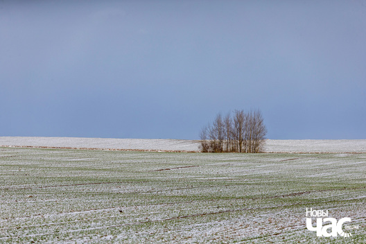 7/7 _belarus_vjasna_sneh_pracjah_5_2025_fota_novy_czas__6_.jpg