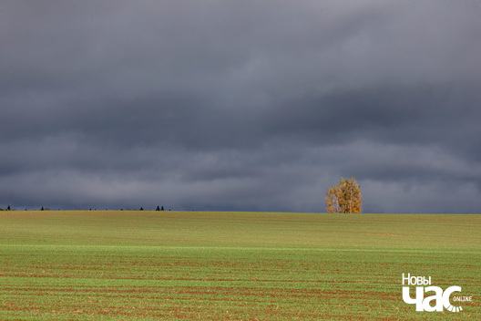 _belarus_vosen_kastrycznik_pracjah_2025_fota_novy_czas__1_.jpg _belarus_vosen_kastrycznik_pracjah_2025_fota_novy_czas__1_.jpg