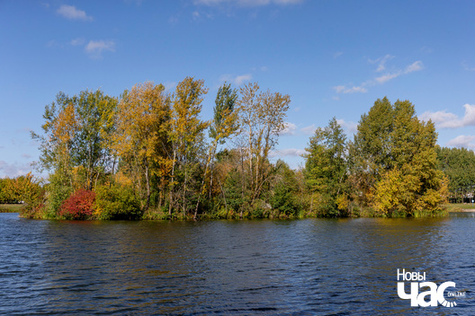 9/9 _belarus_vosen_nadvor_e_2022_szpacyry_fota_dzmitryeu_dzmitryj_novy_czas__18__logo.jpg