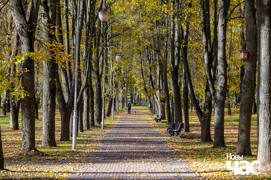 3/9 _belarus_vosen_nadvor_e_2022_szpacyry_fota_dzmitryeu_dzmitryj_novy_czas__21__logo.jpg