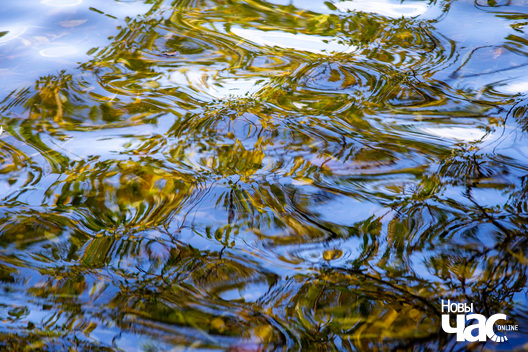 5/9 _belarus_vosen_nadvor_e_2022_szpacyry_fota_dzmitryeu_dzmitryj_novy_czas__24__logo.jpg