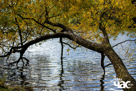 6/9 _belarus_vosen_nadvor_e_2022_szpacyry_fota_dzmitryeu_dzmitryj_novy_czas__25__logo.jpg