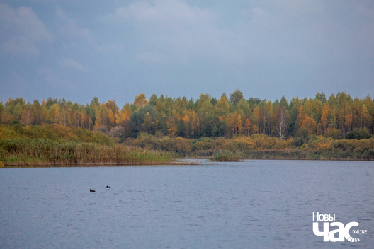 8/9 _belarus_vosen_nadvor_e_2022_szpacyry_fota_dzmitryeu_dzmitryj_novy_czas__27__logo.jpg
