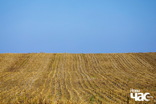 1/9 _belarus_vosen_nadvor_e_2022_szpacyry_fota_dzmitryeu_dzmitryj_novy_czas__3__logo.jpg