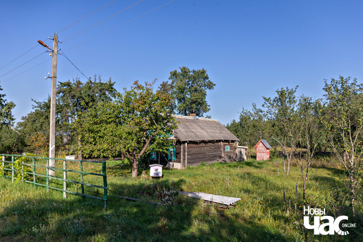 2/3 _belarus_voucza_nauhalnae_2023_fota_novy_czas__1__logo.jpg