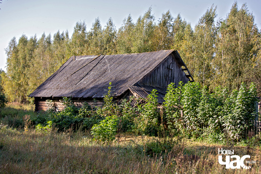 4/6 _belarus_voucza_nauhalnae_pracjah_2023_fota_novy_czas__3__logo.jpg
