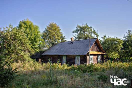 1/6 _belarus_voucza_nauhalnae_pracjah_2023_fota_novy_czas_logo.jpg