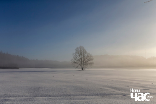 2/4 _belarus_zima_krajavidy_pracjah_2024_fota_novy_czas__1__logo.jpg