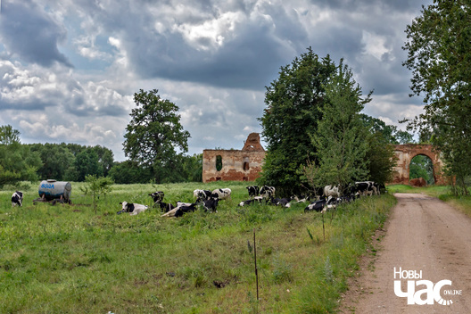 1/5 _belarus_zyrmuny_sjadziba_2025_fota_novy_czas.jpg