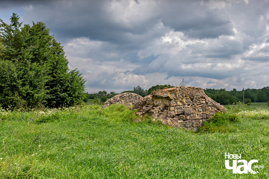 1/5 _belarus_zyrmuny_sjadziba_pracjah_2025_fota_novy_czas.jpg