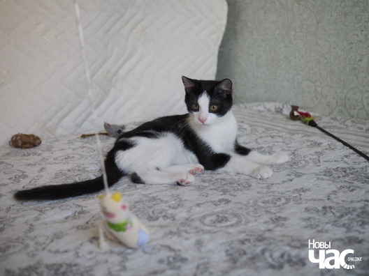 _ca13848_logo.jpg _ca13848_logo.jpg