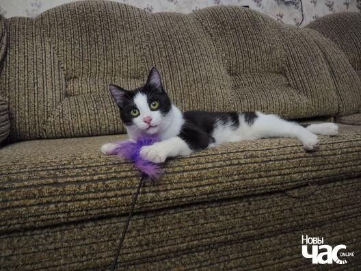 _ca84653_logo.jpg _ca84653_logo.jpg