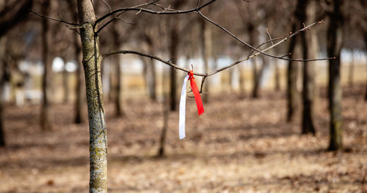 «Сёння заставацца ў Беларусі з актыўнай пазіцыяй — гэта таксама чын супраціву»
