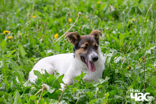 2/8 _dzjatlava___vyratuj_zycce__fota_dzmitryeu_dzmitryj_novy_czas__2__logo.jpg