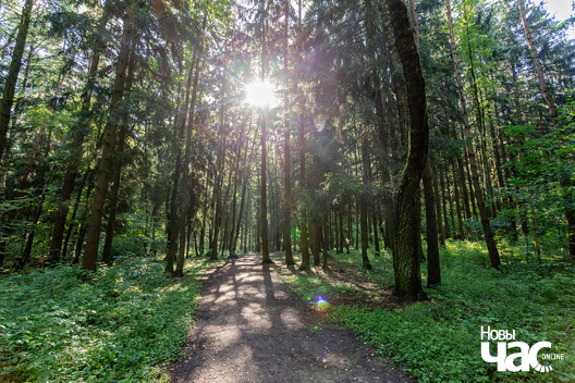 1/7 _harezlivy_pacalunak_kazaczny_les_fota_dzmitryeu_dzmitryj_novy_czas__4__logo.jpg