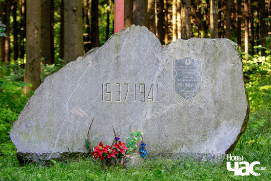 1/2 _harezlivy_pomnik_fota_dzmitryeu_dzmitryj_novy_czas___1__logo.jpg