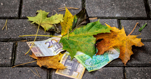 Сам выпусціў — сам купіў. Як дзяржава хавае друкаванне пустых грошай