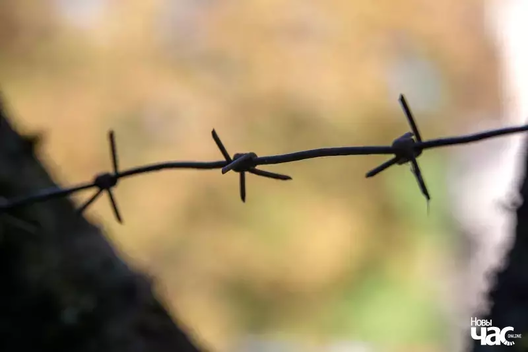 _kaljuczka___kraty___njavolja__fota__novy_czas__2__logo_1_logo.jpg_logo_1_logo.webp _kaljuczka___kraty___njavolja__fota__novy_czas__2__logo_1_logo.jpg_logo_1_logo.webp