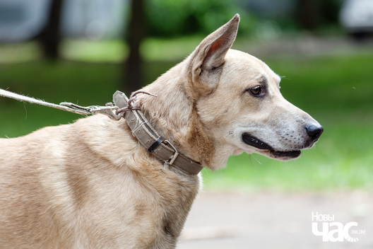 _mg_3669_logo.jpg _mg_3669_logo.jpg