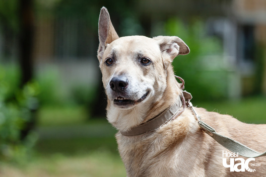 _mg_3670_logo.jpg _mg_3670_logo.jpg