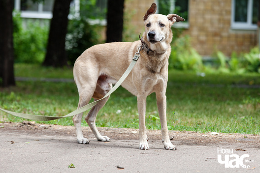 _mg_3678_logo.jpg _mg_3678_logo.jpg