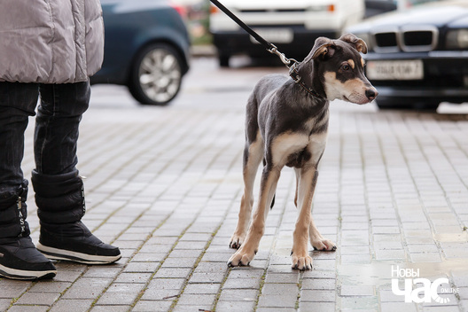 17/17 _mg_4093_logo.jpg