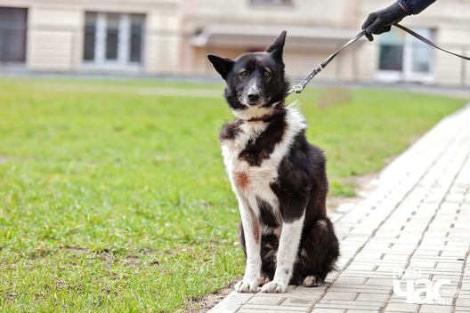 9/13 _mg_5091_logo.jpg