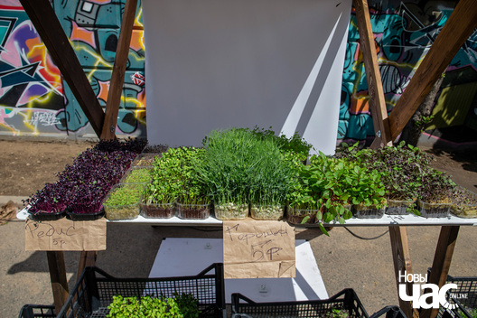 10/11 _pastarnak_fest___minsk__fota_dzmitryeu_dzmitryj_novy_czas__23__logo.jpg