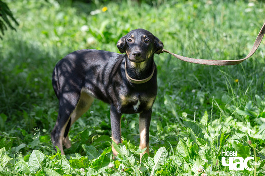 2/9 _sluck___vyratu_zycce__fota_dzmitryeu_dzmitryj_novy_czas__10__logo.jpg