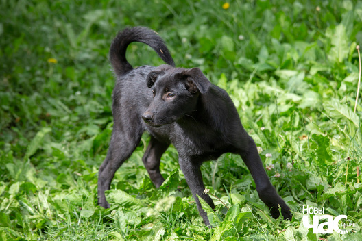 9/9 _sluck___vyratu_zycce__fota_dzmitryeu_dzmitryj_novy_czas__14__logo.jpg