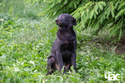 4/9 _sluck___vyratu_zycce__fota_dzmitryeu_dzmitryj_novy_czas__15__logo.jpg