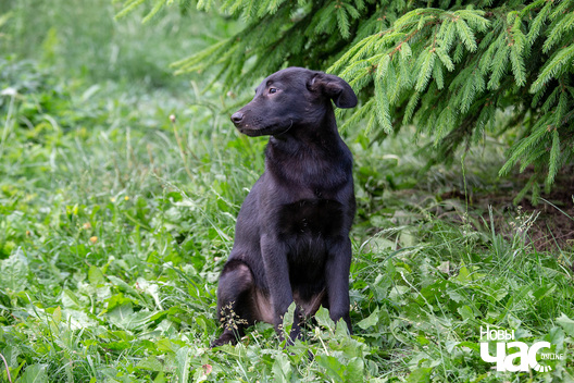 1/9 _sluck___vyratu_zycce__fota_dzmitryeu_dzmitryj_novy_czas__16__logo.jpg