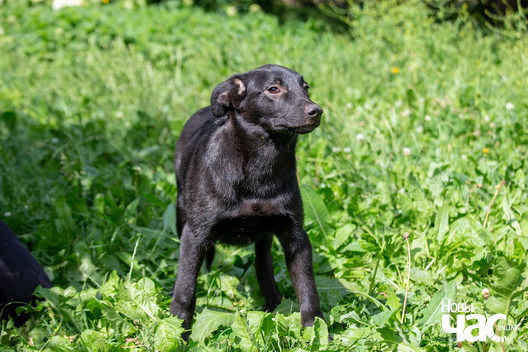 8/9 _sluck___vyratu_zycce__fota_dzmitryeu_dzmitryj_novy_czas__17__logo.jpg