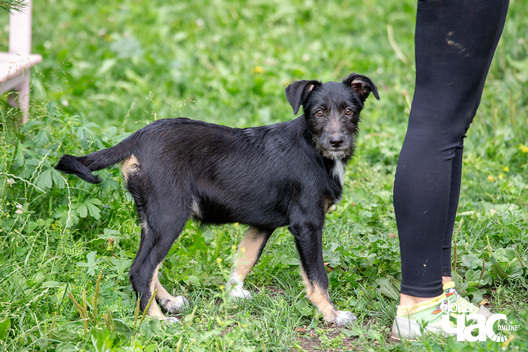 6/9 _sluck___vyratu_zycce__fota_dzmitryeu_dzmitryj_novy_czas__3__logo.jpg